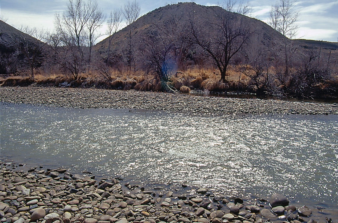 North Fork Gunnison River near Hotchkiss - March 2000