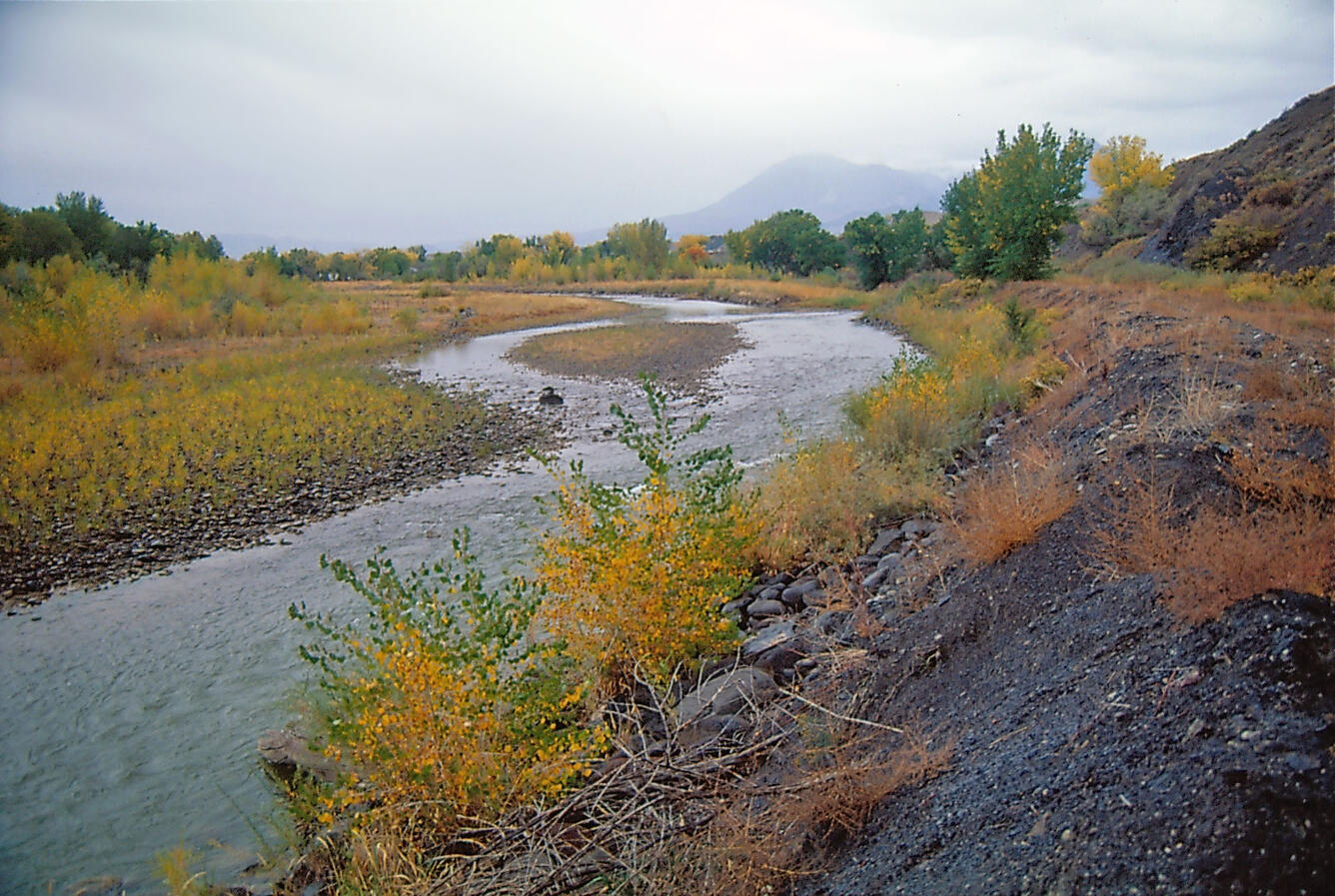 North Fork Gunnison River near Hotchkiss, October 2001