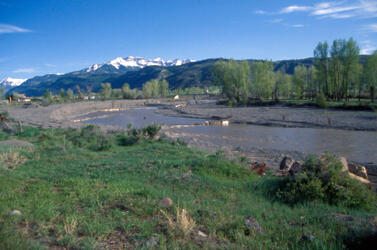 Uncompahgre River at Ridgway, May 2003