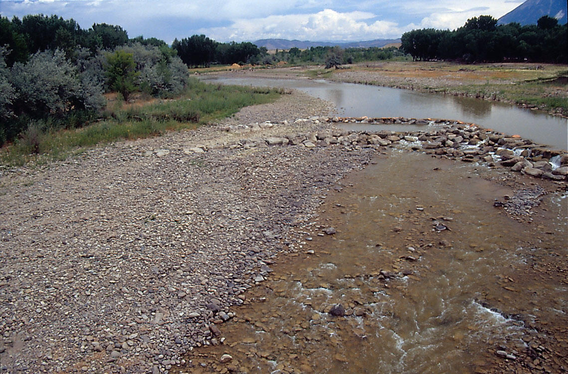 North Fork Gunnison River near Hotchkiss, July 2003