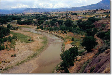 North Fork Gunnison River near Hotchkiss, July 2003