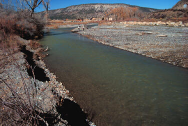 Uncompahgre River at Ridgway, October 2003