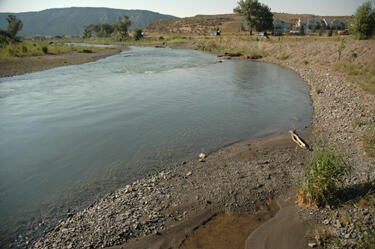 Uncompahgre River at Ridgway, July 2005