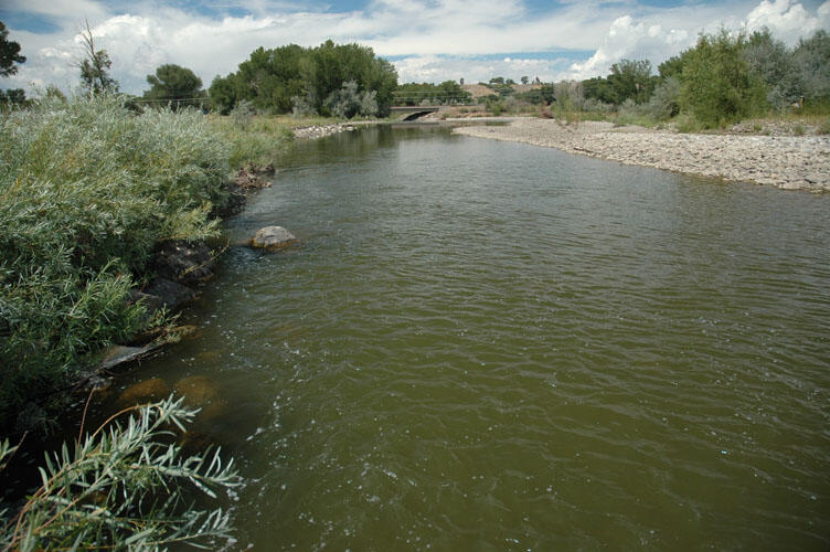 North Fork Gunnison River near Hotchkiss - August 2005