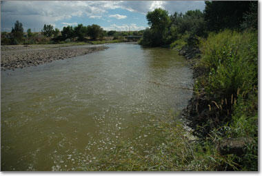 North Fork Gunnison River near Hotchkiss, August 2005