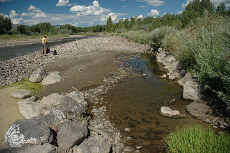 North Fork Gunnison River near Hotchkiss, August 2005