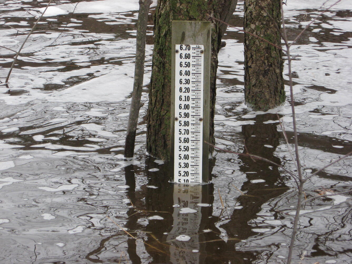 Photo of a staff gage on a Wisconsin stream