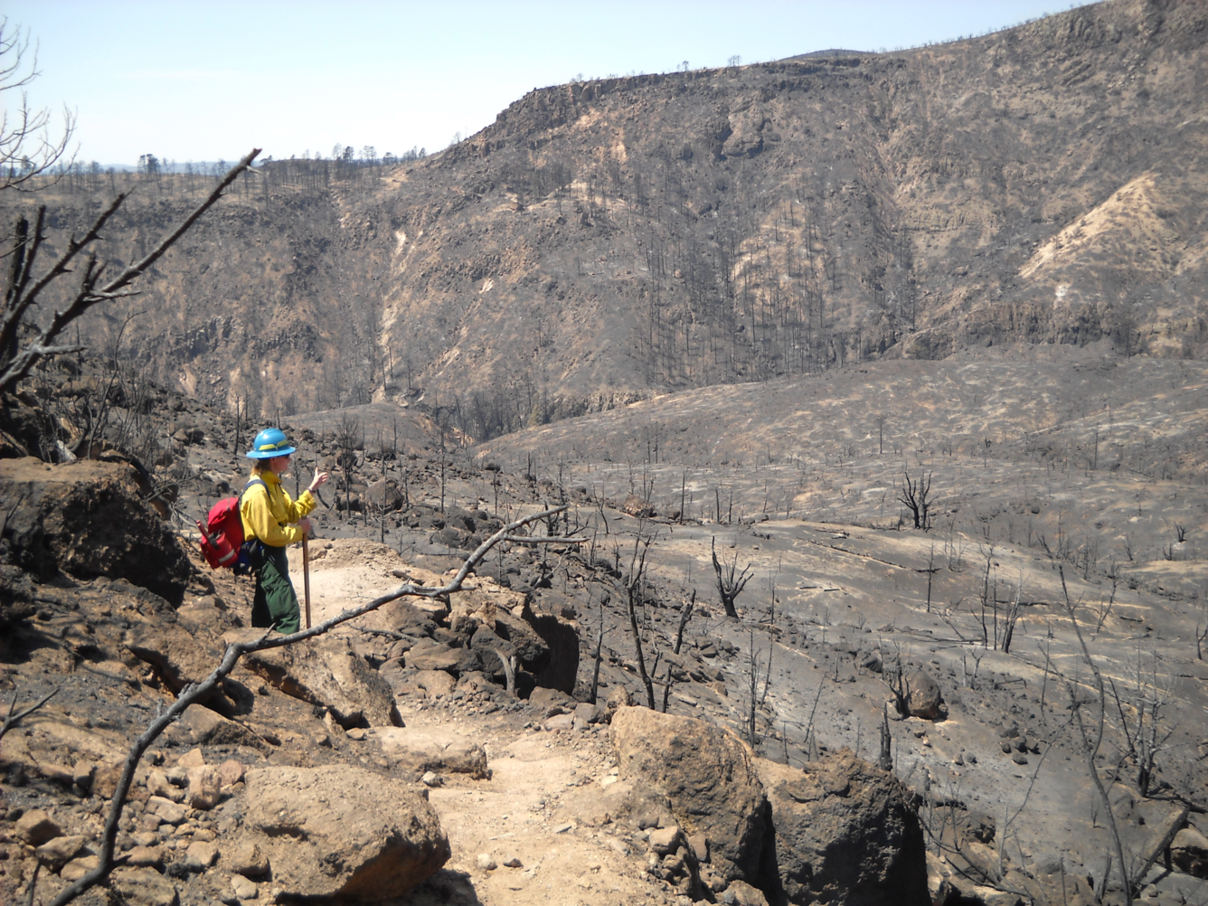 A USGS scientist surveys the Las Conchas fire scar.