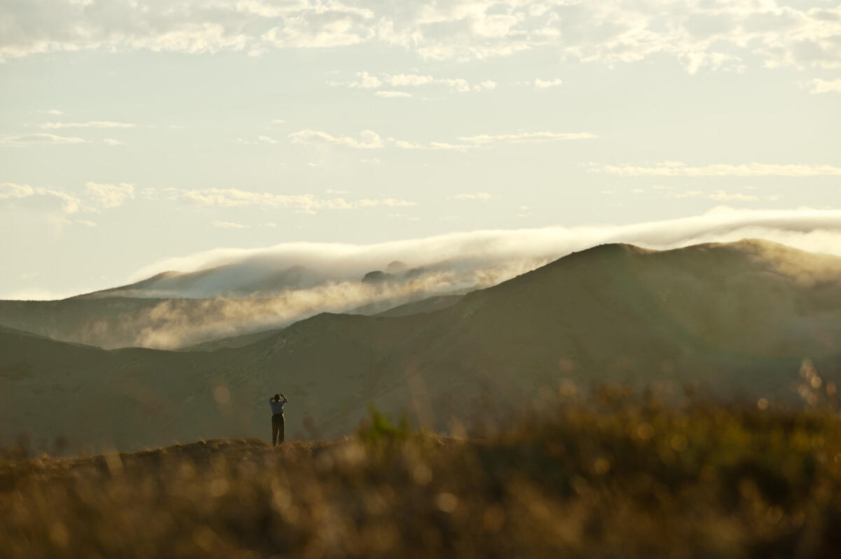 Photo of a person standing against the backdrop of the Channel Islands