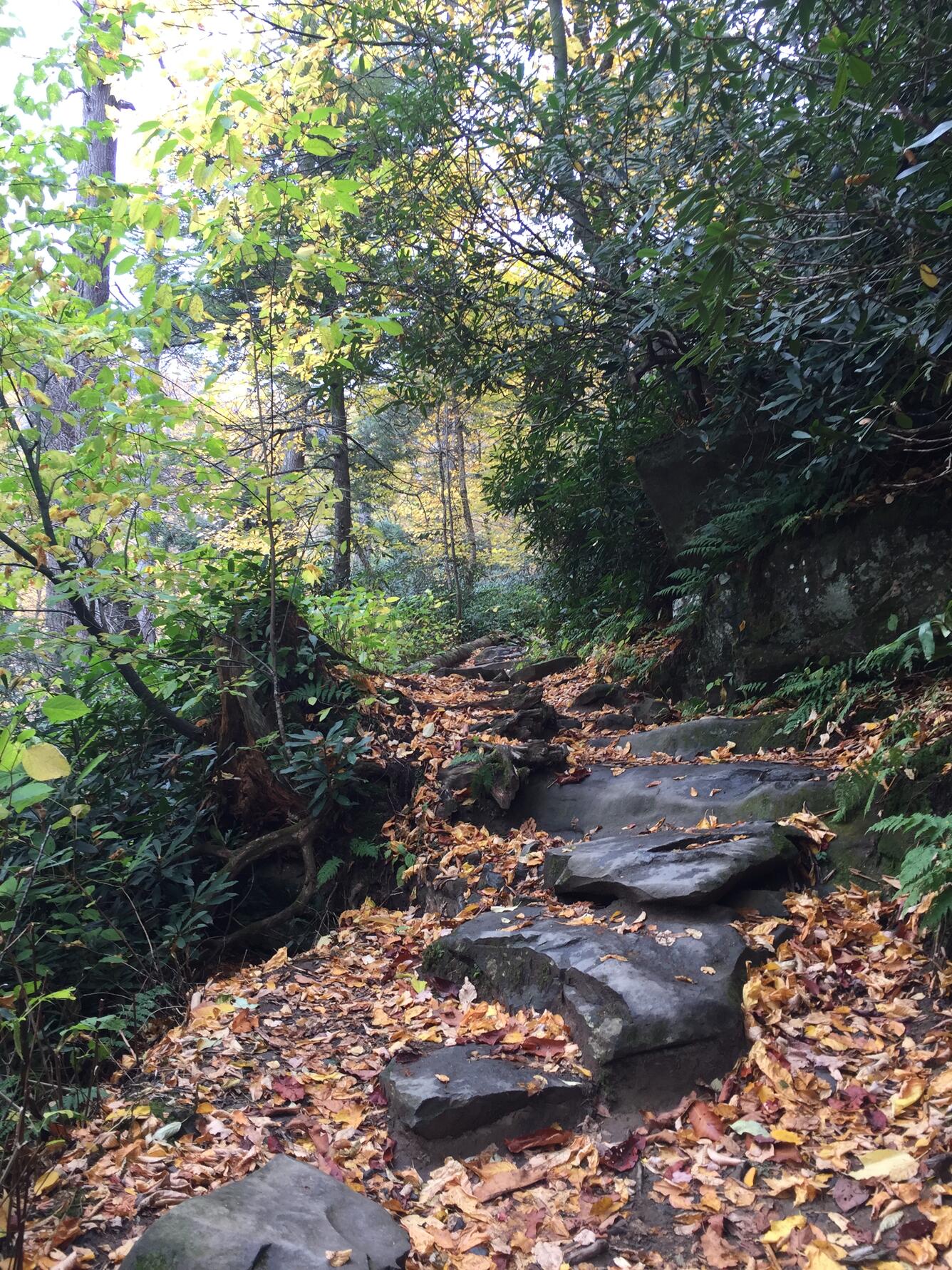 NDTc - Rainbow Falls Trails, Great Smokey Mtns, North Carolina
