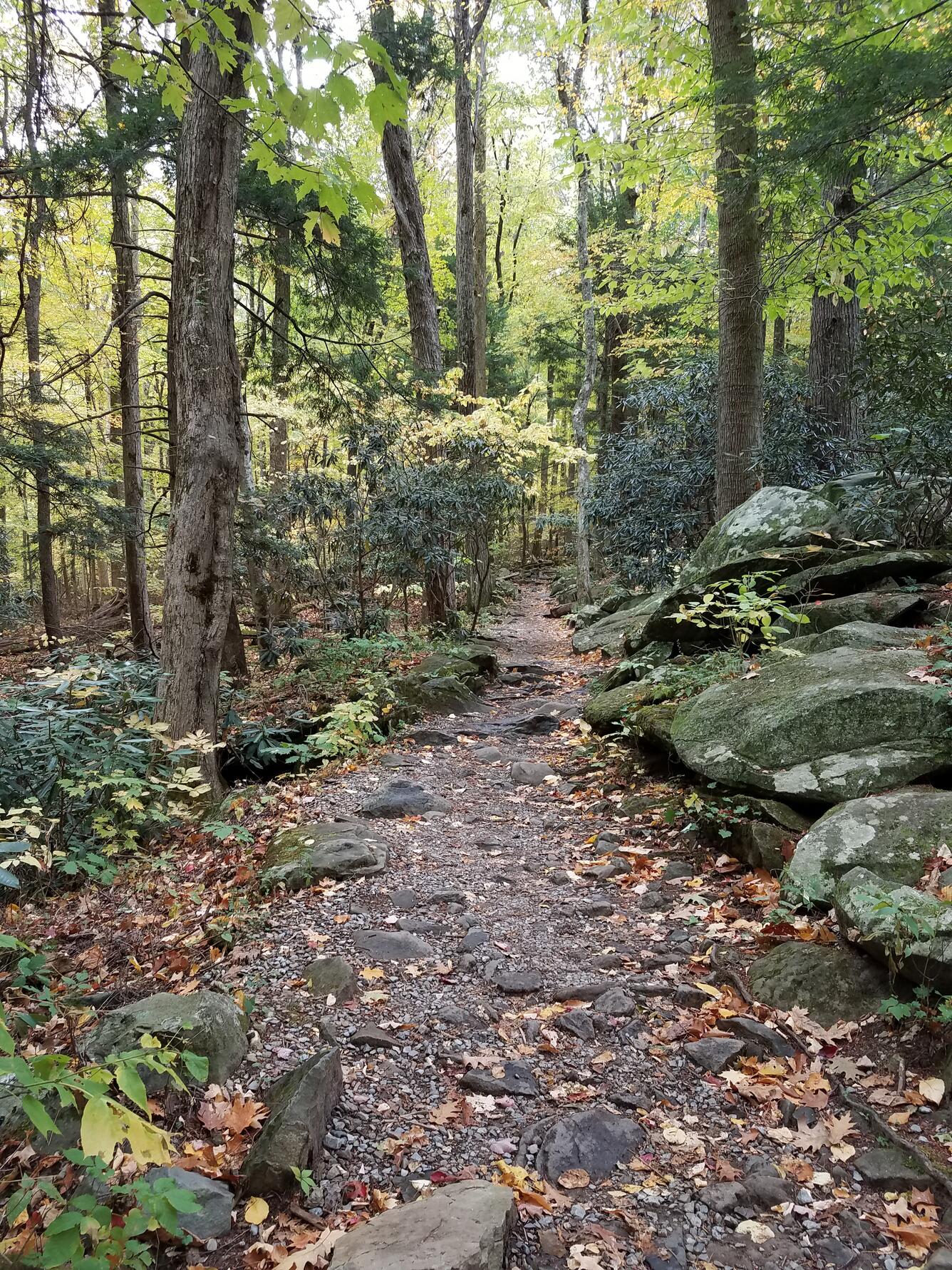 NDTc - Rainbow Falls Trail, Great Smokey Mountains National Park – North Carolina