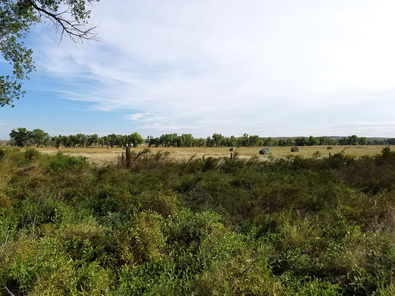 Hay fields in Nebraska