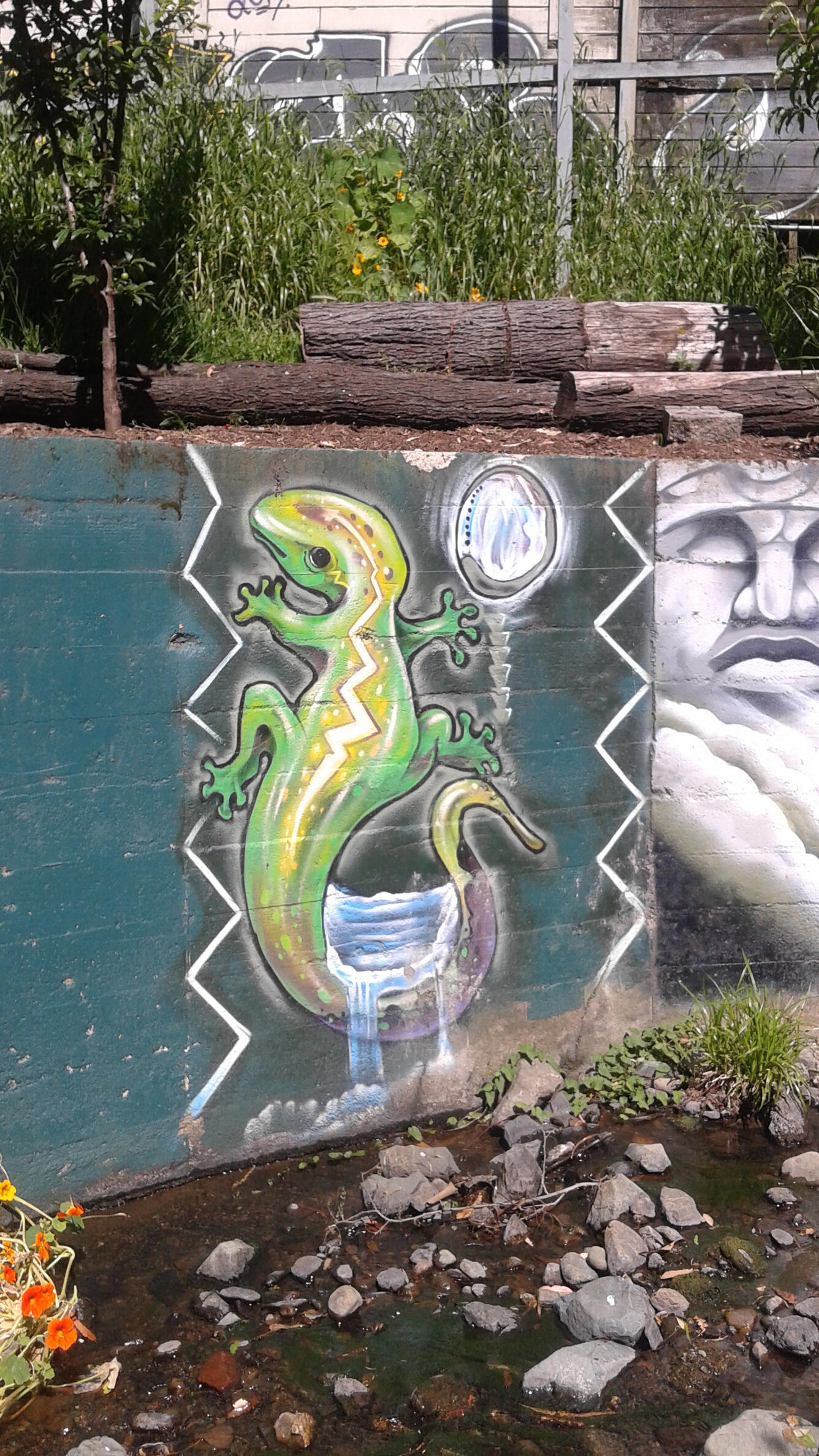 Urban art along stream retaining wall