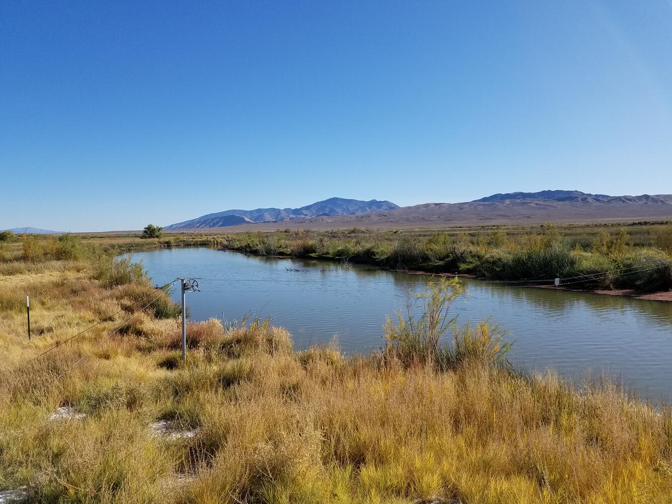 Walker River above Weber Reservoir near Schurz, Nev.