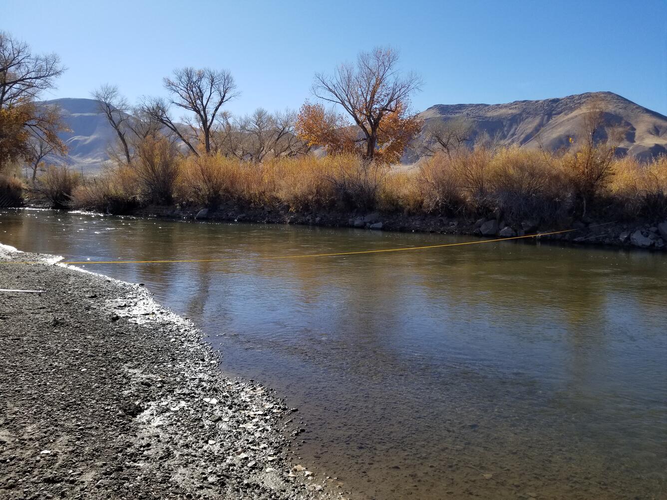 Walker River near Mason, Nev.