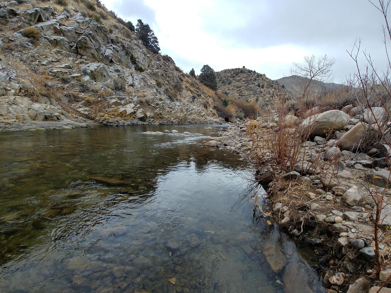 West Walker River near Coleville, Calif.