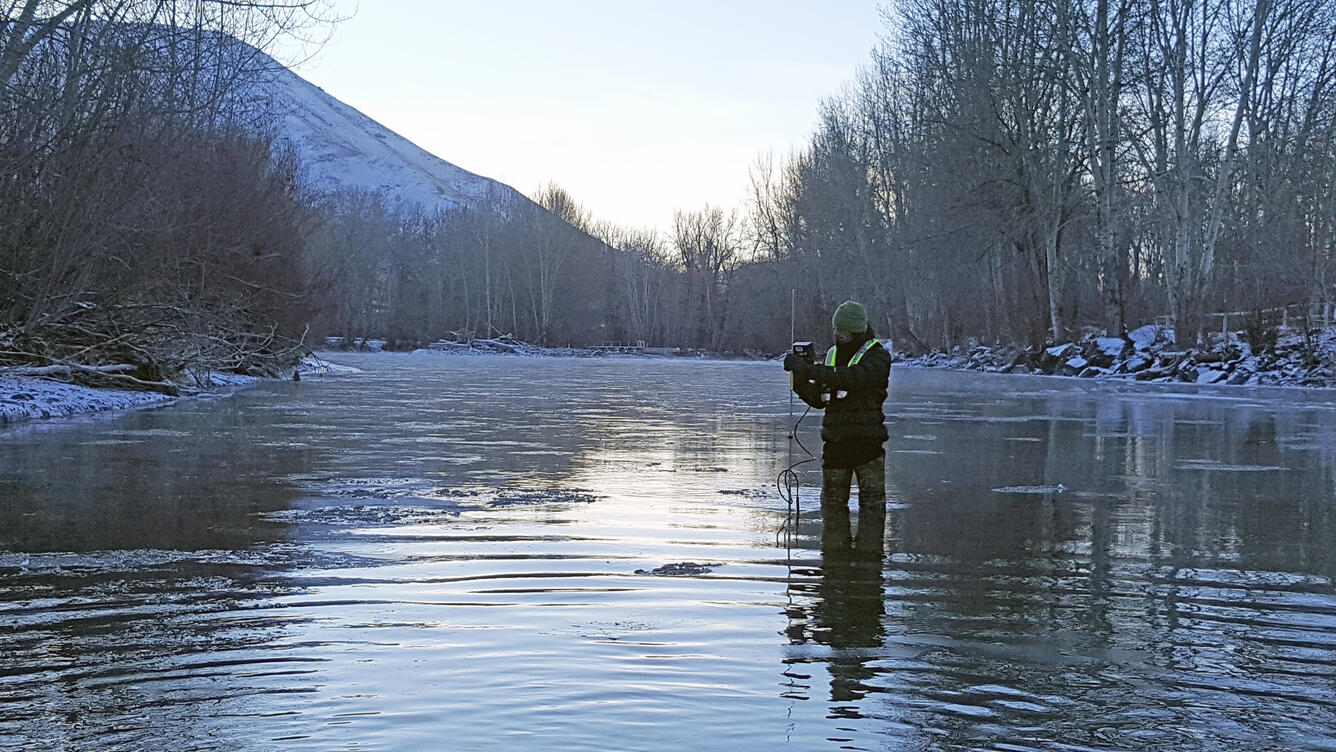 Discharge measurement on the Big Wood River at Hailey