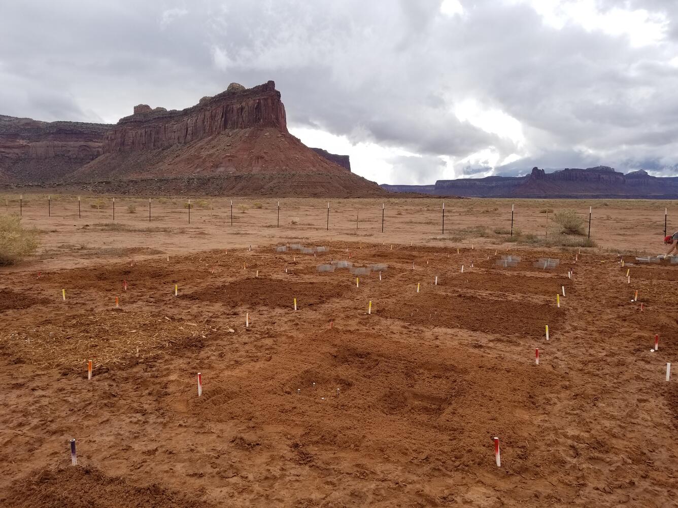 An experimental garden in the red rocks of Utah