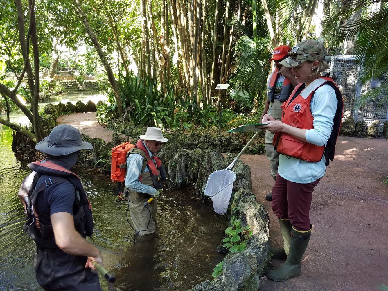 Pinecrest Gardens follow-up bay snook sampling during Fish Slam November 2018
