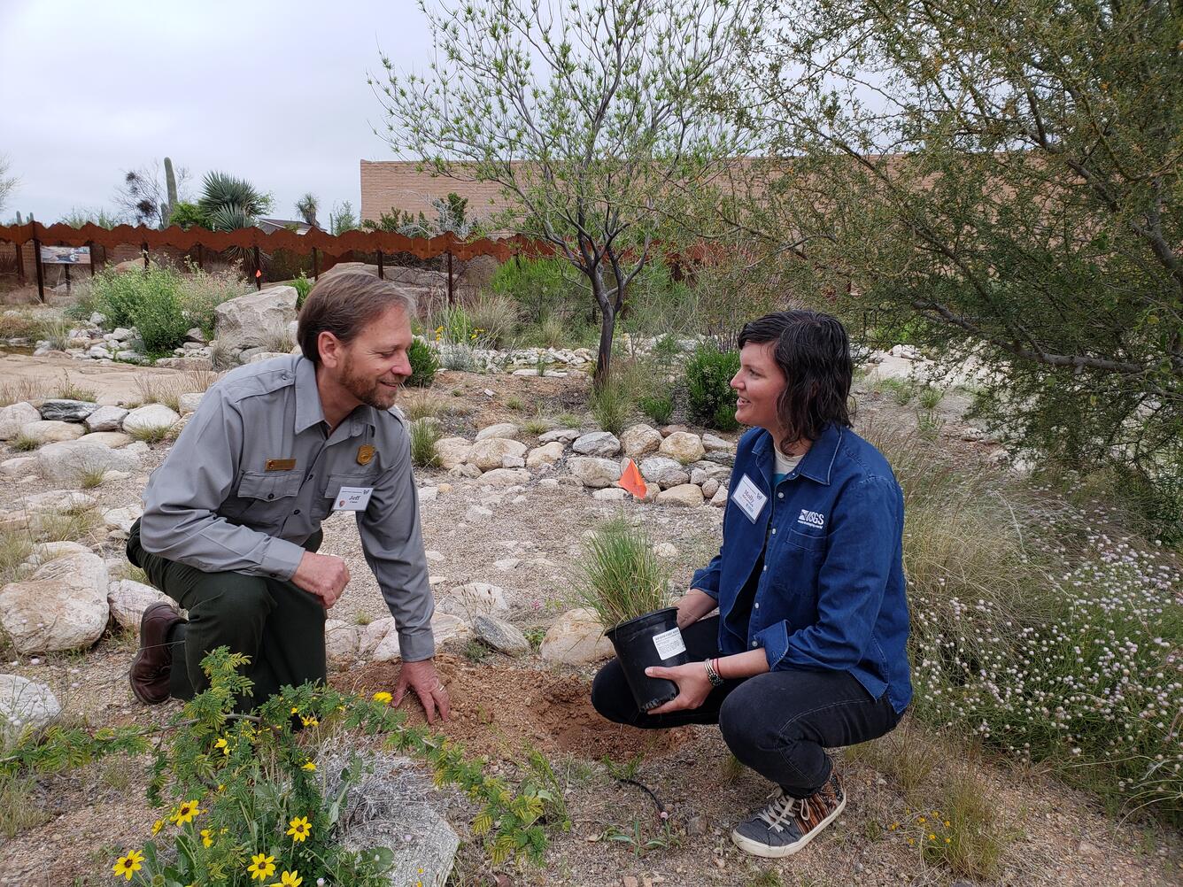 A Park Service land manager and a USGS scientist install a flowering plant.