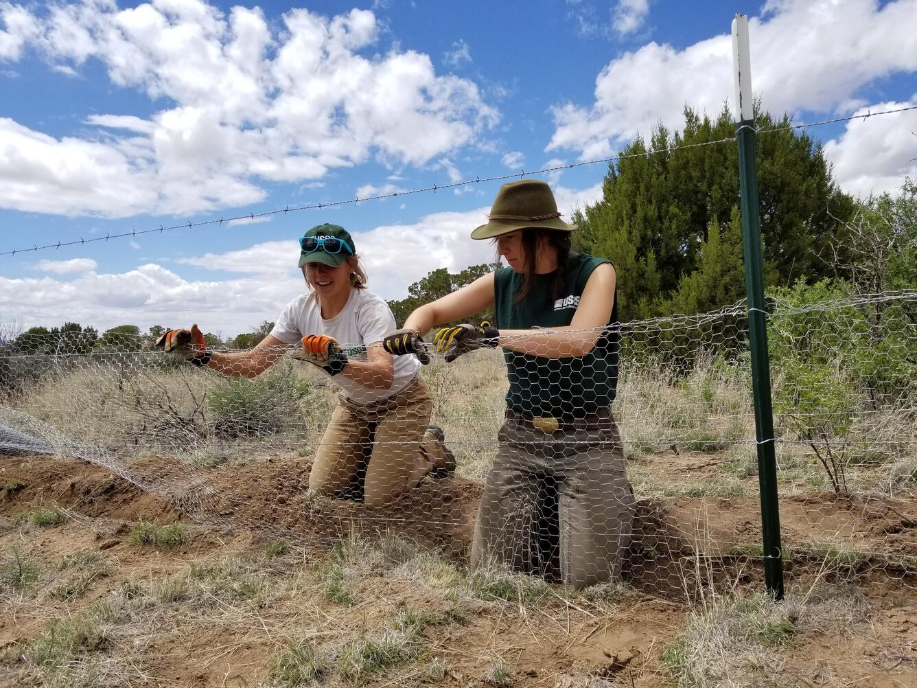 Two USGS scientists install a fence around an experimental garden