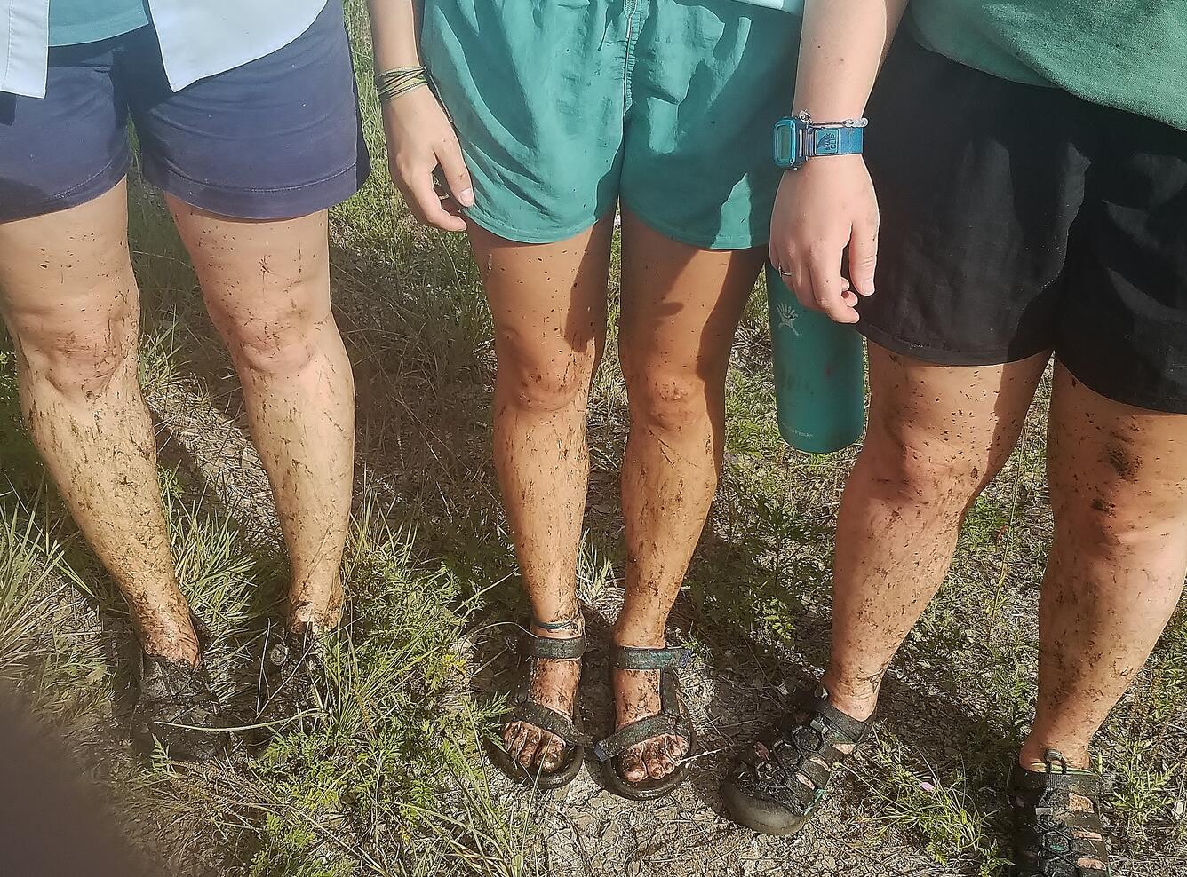 Post-diamondback field work