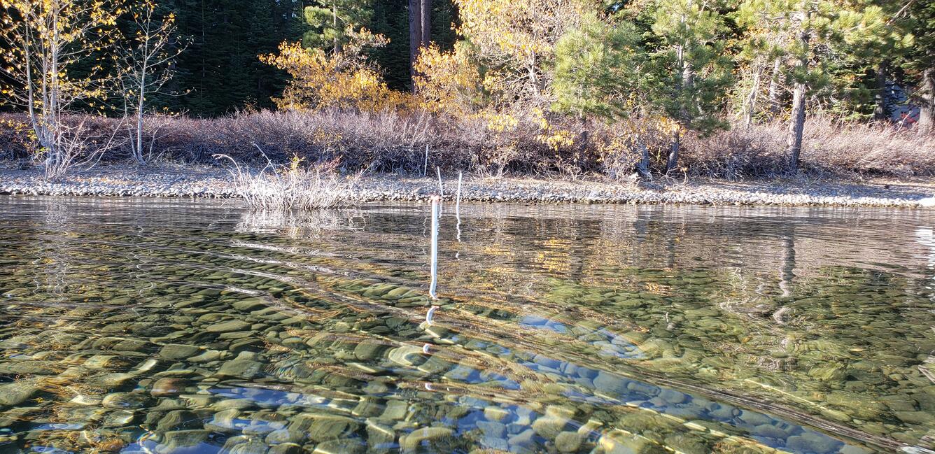 Periphyton sampling along the nearshore of Lake Tahoe