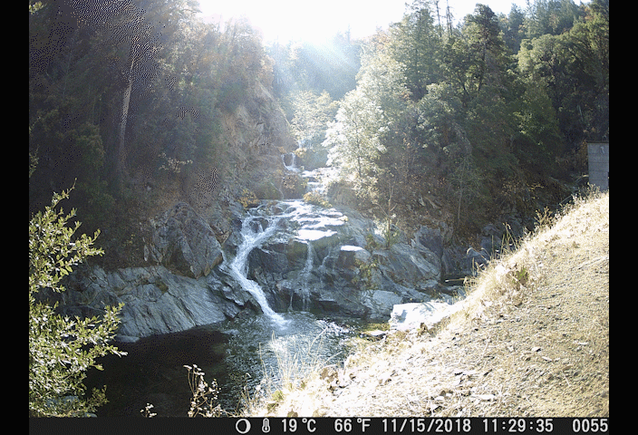 A waterfall surrounded by burned forests changes over the winter, with more greenery and filling with more water over time