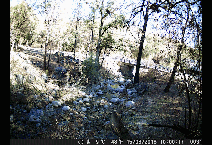 A river surrounded by burned forests changes over the winter, with more greenery and filling with more water over time