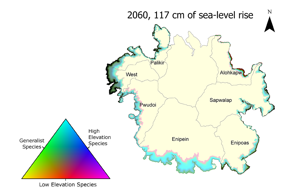Map of projected mangrove distribution on the island of Pohnpei, 2060, under 117 cm sea-level rise, with areas of mangrove loss