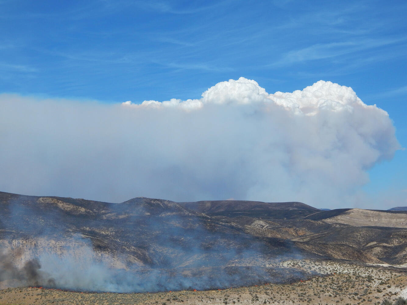 Bendire Complex Fire Line