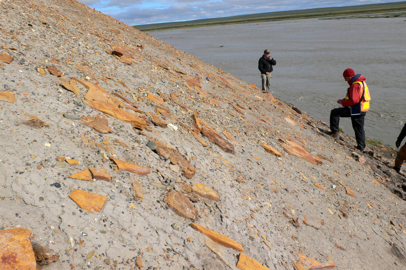 oil-saturated sand, sandstone, and concretions