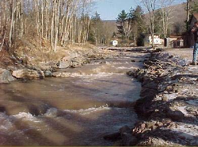 stream with bare trees on banks