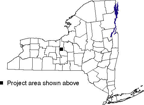 outline of NY state and counties with dot where study is located
