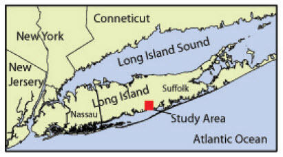 colored map of Long Island with red square marking study area