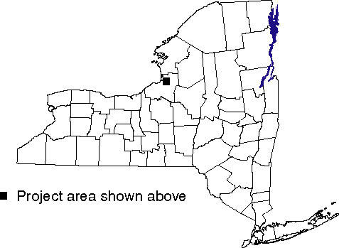 map of study area near Pulaski, NY