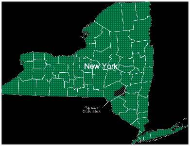 NY county map in green with black for Pepacton watershed area