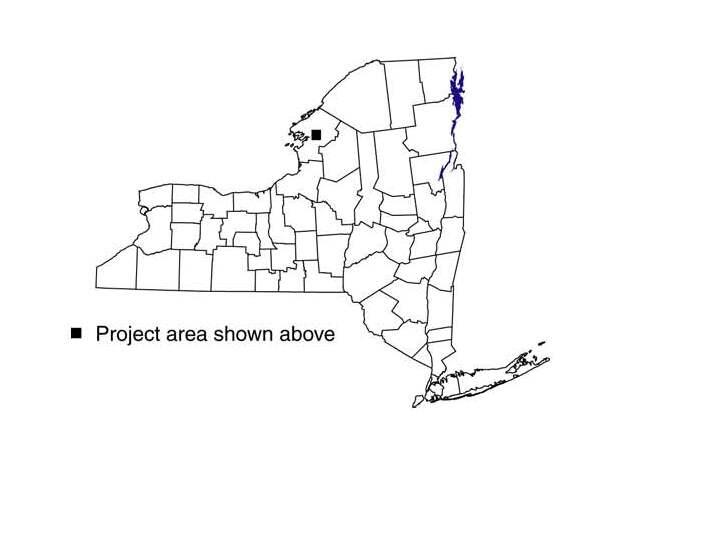 map of NY state with black square marking study location