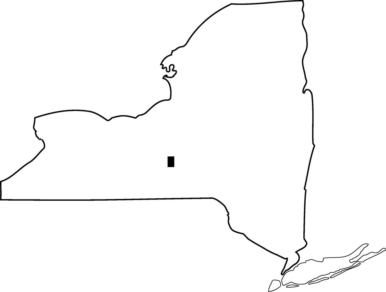 outline of New York state with black dot for study area