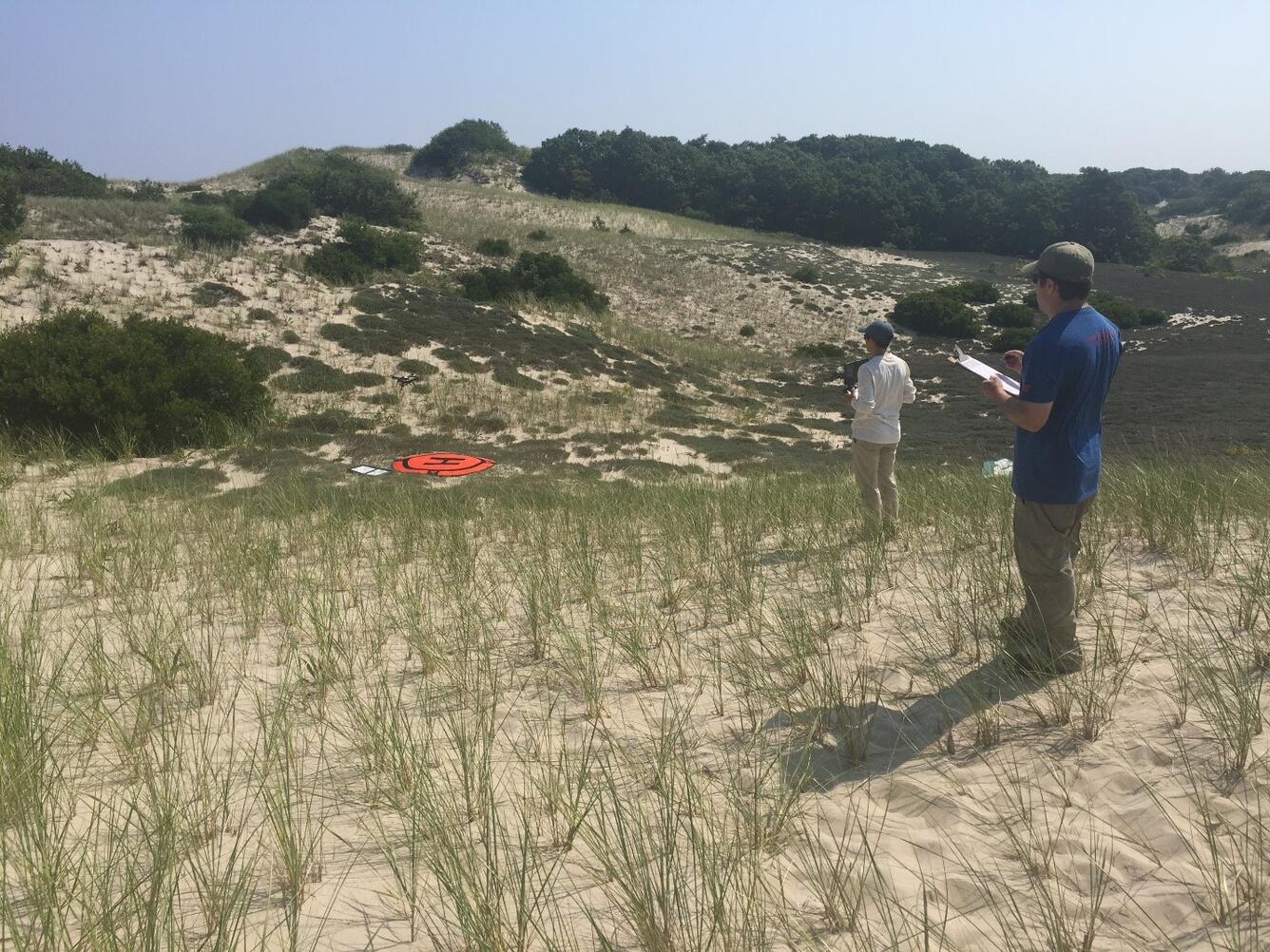 Cape Cod National Seashore