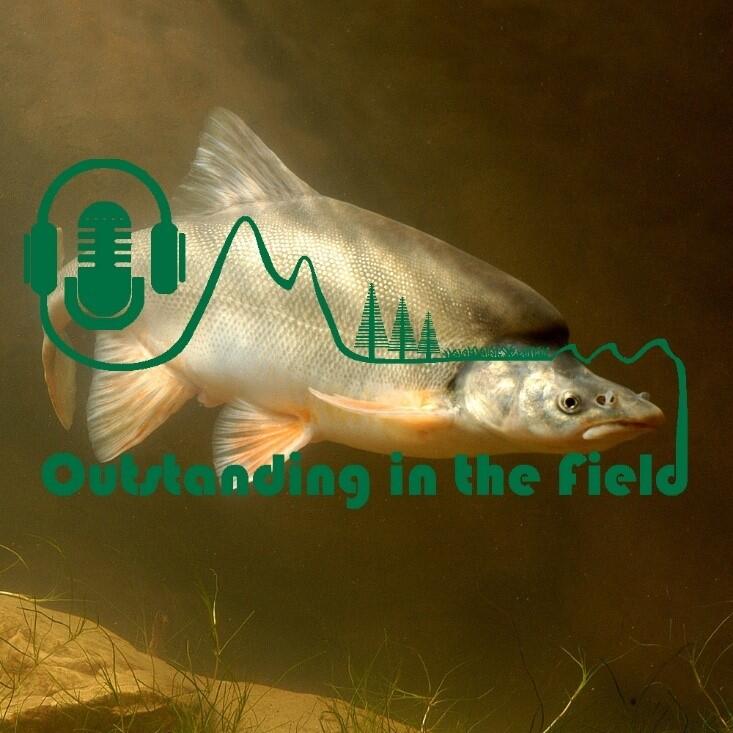 Ecosystems Podcast Series Episode 5 artwork by Jeffrey Kemp. Image of humpback chub courtesy of Arizona Game and Fish Departmen