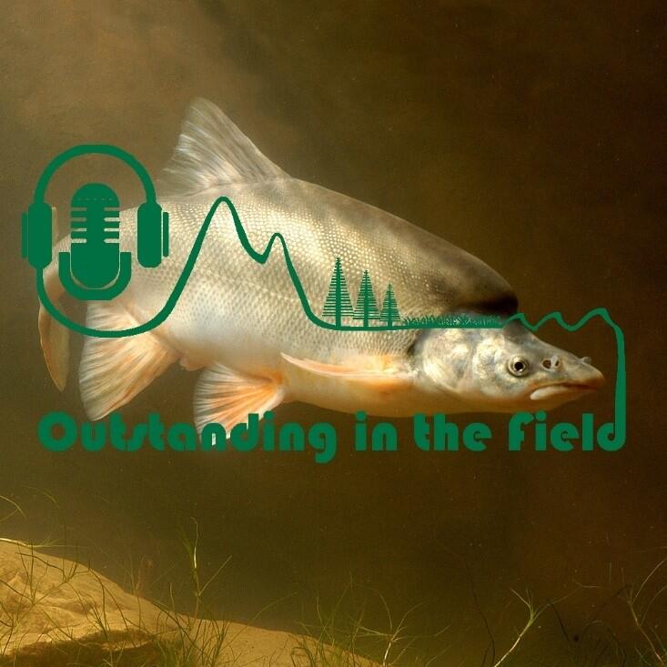 Ecosystems Podcast Series Episode 5 artwork by Jeffrey Kemp.  Image of humpback chub courtesy of Arizona Game and Fish Departmen