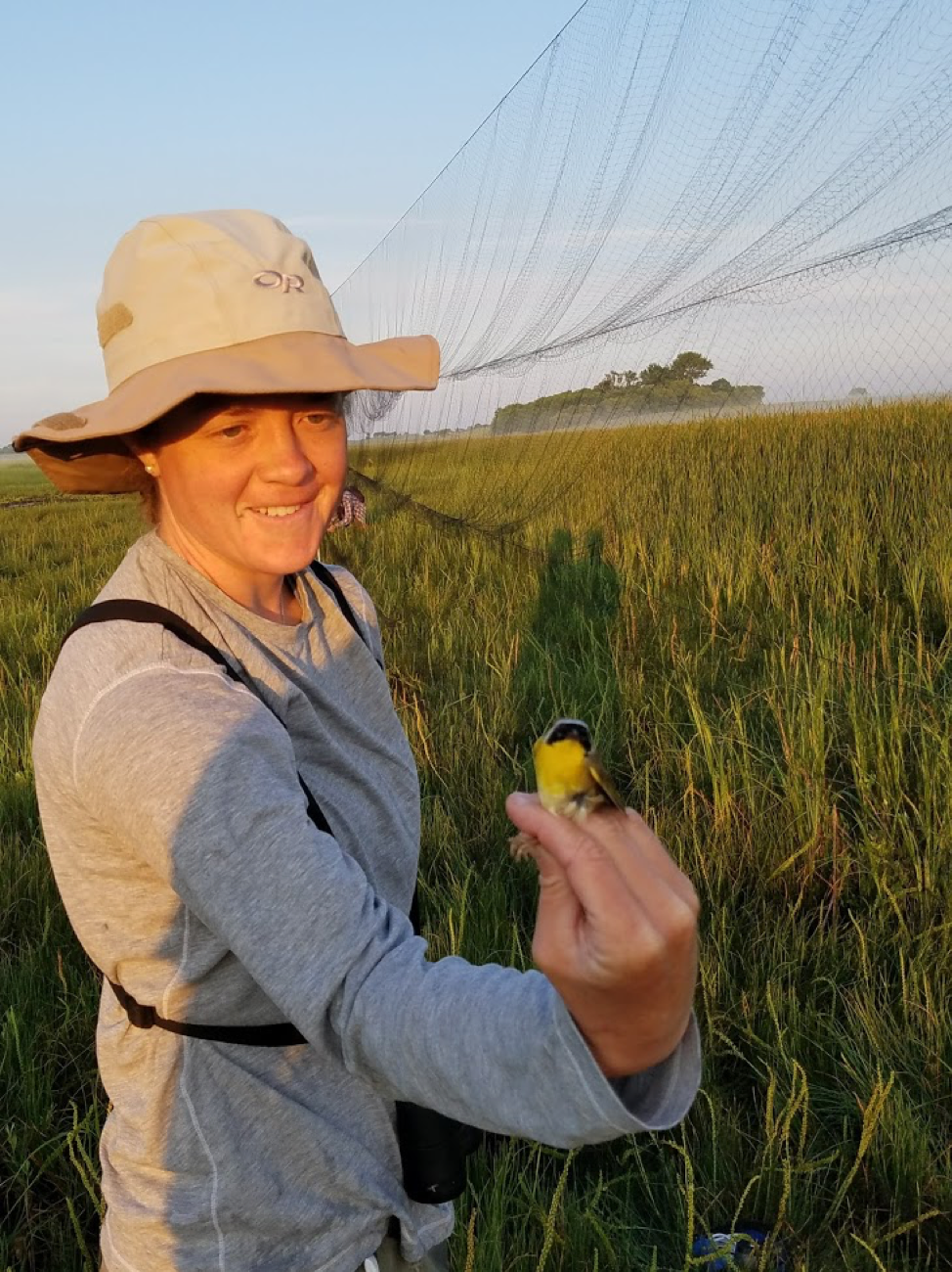 :  Photo of Virginia Winder, Benedictine College, holding a common yellowthroat. 