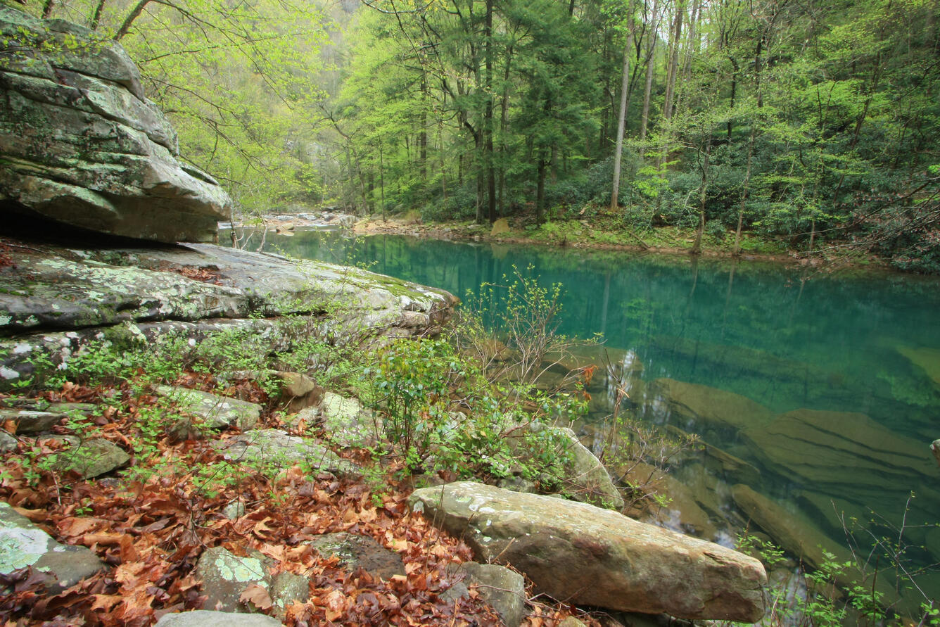 Still creek running through rocky, forested area