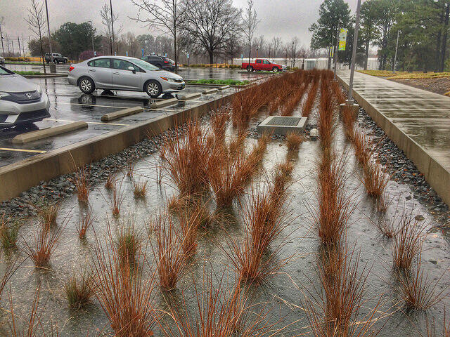 Ecosystem Services of Urban Stormwater Management