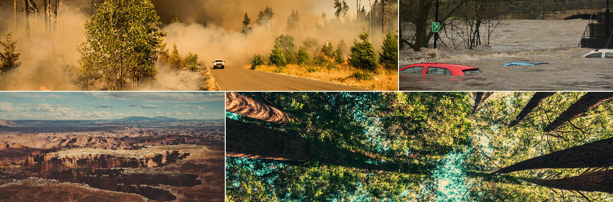 3DEP applications for Fire, Flooding, Critical Minerals and Forestry