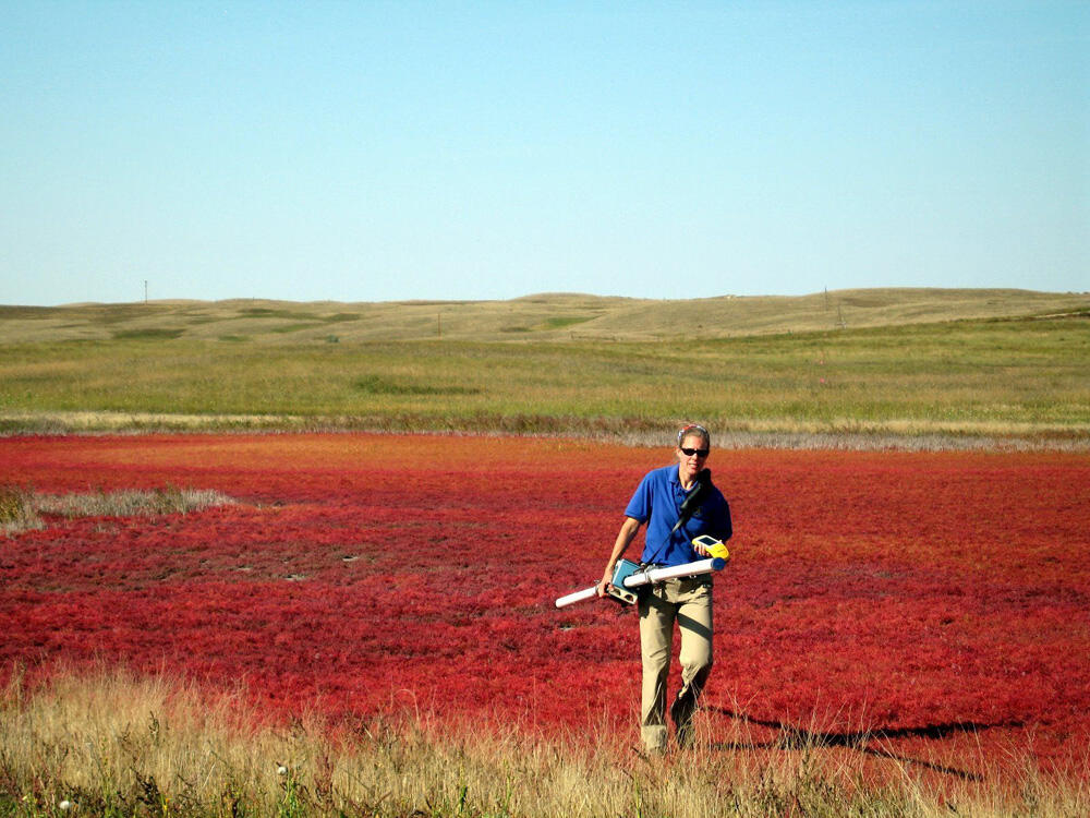 Karen Nelson of USFWS collecting EM31 data along dried wetland.