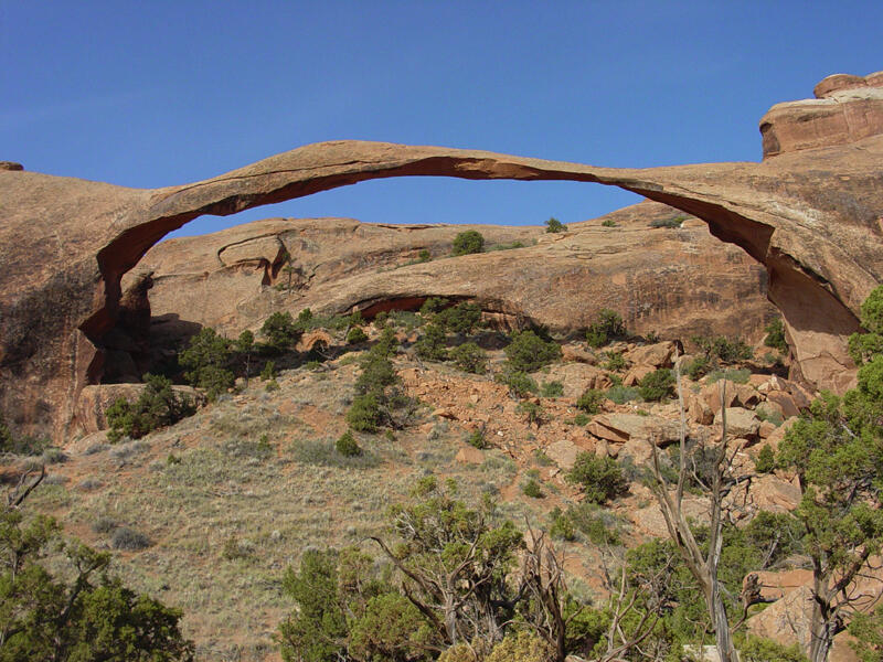 Looking up at a very elongate arch