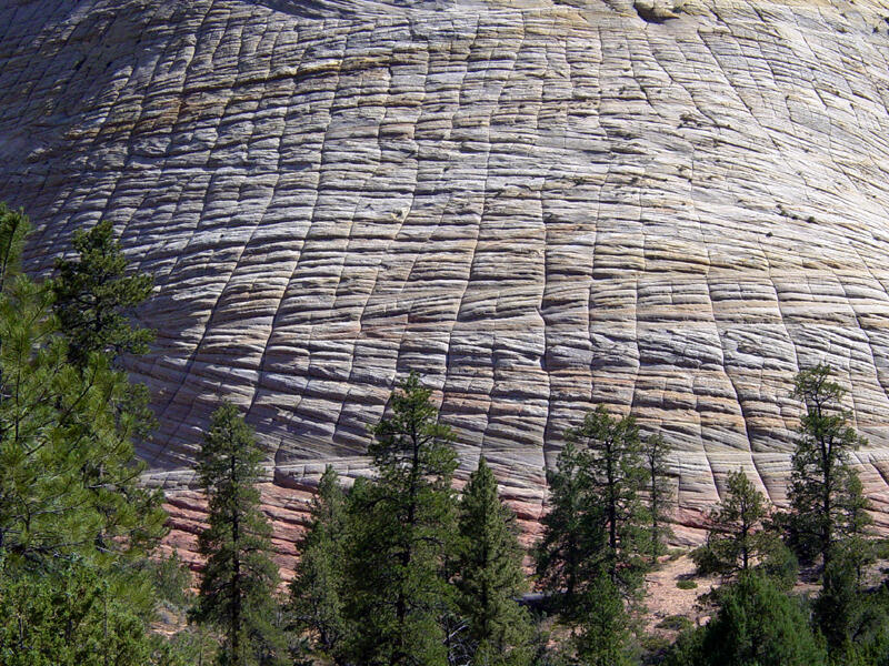 Checkerboard Mesa at Zion National Park