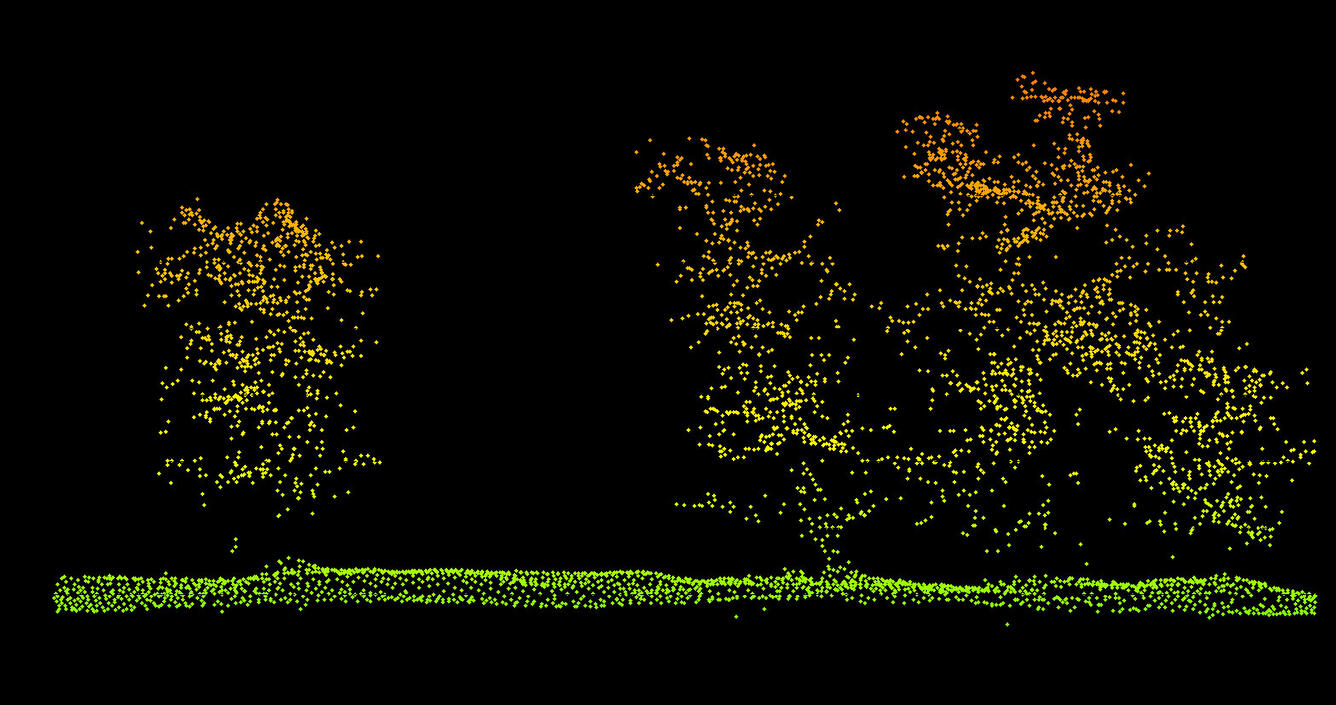 3dep_profile_GML_colored_by_elevation_trees